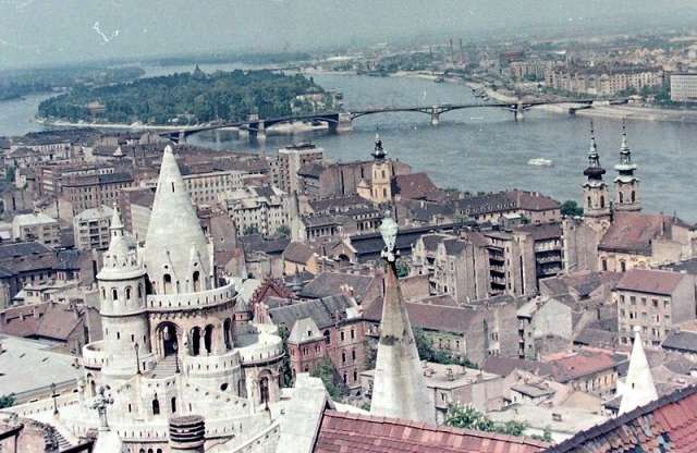 Lezuhant egy autóbusz a Margit hídról – anno 1954