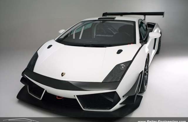 Így neveld a Gallardódat!