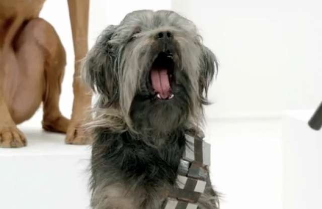 Csillagháborús kutyákkal érkezik az új Beetle