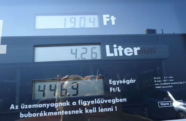 Ki lóg nekünk 5000 forinttal?