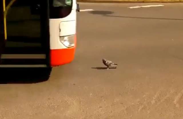 Nem fél a haláltól