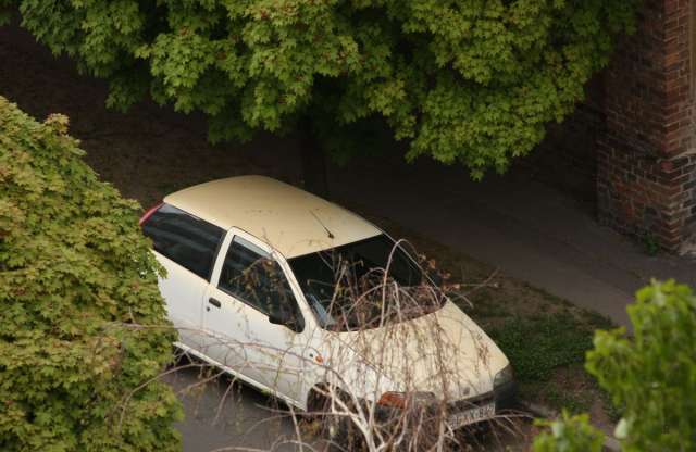 Áldás az égből: pöttyök, foltok, madárürülék. Elkerülhetetlen?
