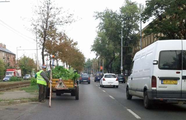 Értelmetlen torlódást okozott a lombozás