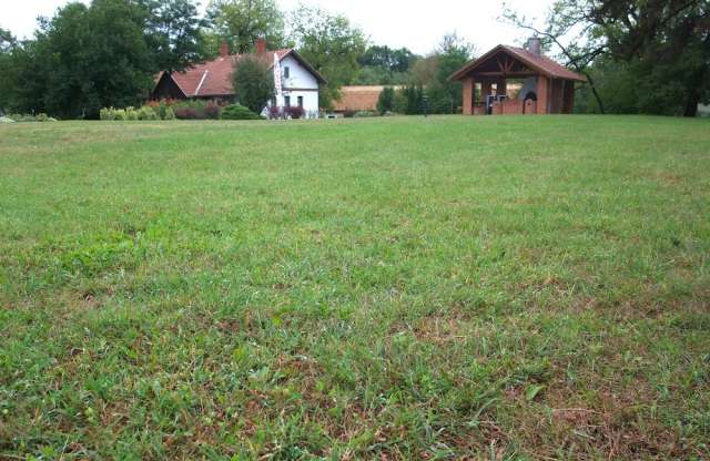 Az a szép zöld gyep: hogy ne hiányozzon