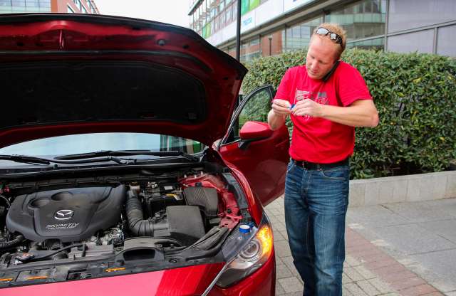 A nyestek is szeretik a Mazdákat
