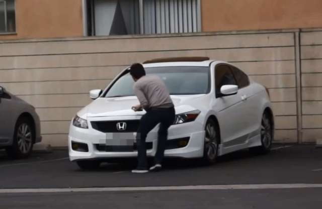 Népnevelés felsőfokon