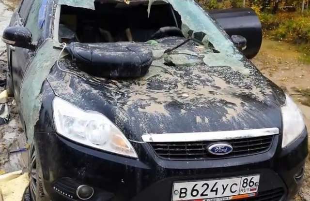 Ford Focus medvetámadás után