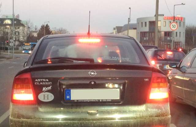 Bodri most még élvezi az autózást, de meddig?