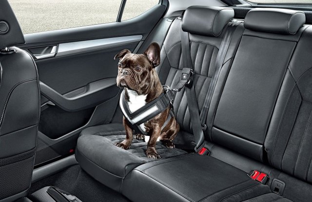Kutya jó extrákat kínál a Skoda