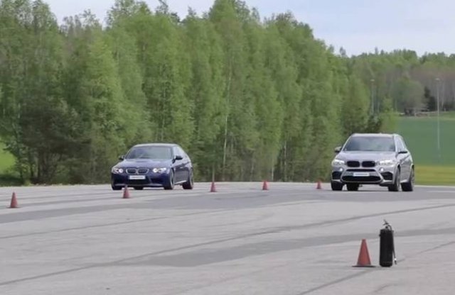 Legendát aláz a vaddisznó