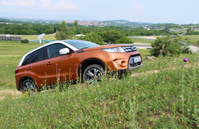 Nagyot nőtt januárban az autópiac - élen a Suzuki