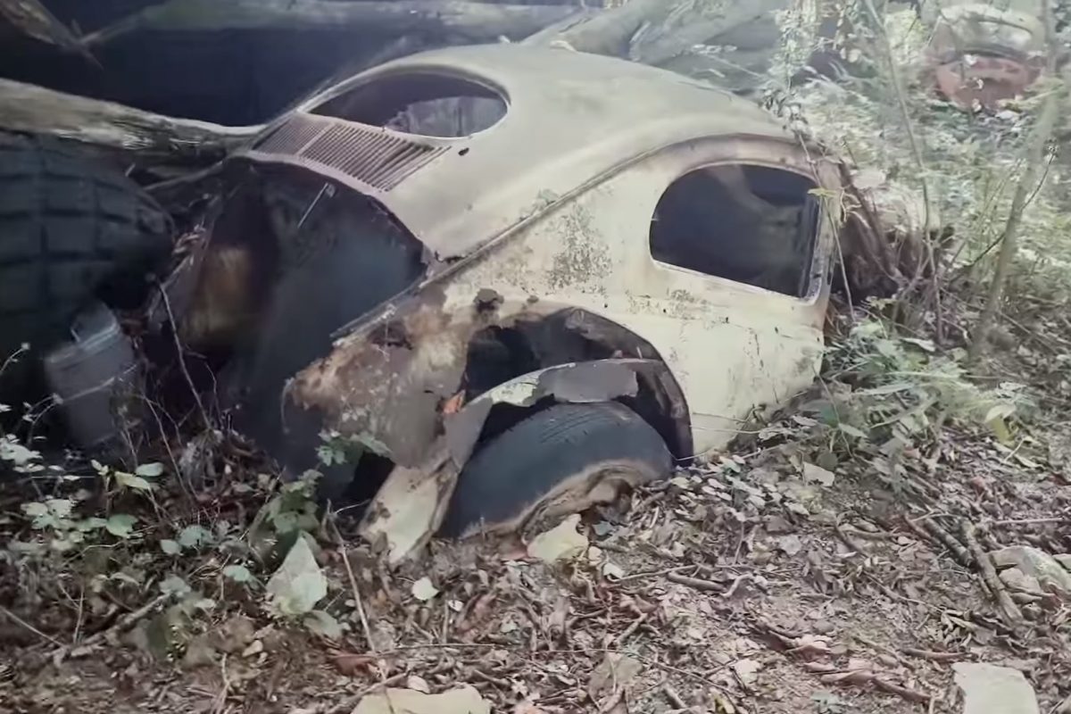 VOLKSWAGEN BOGÁR (KÄFER)