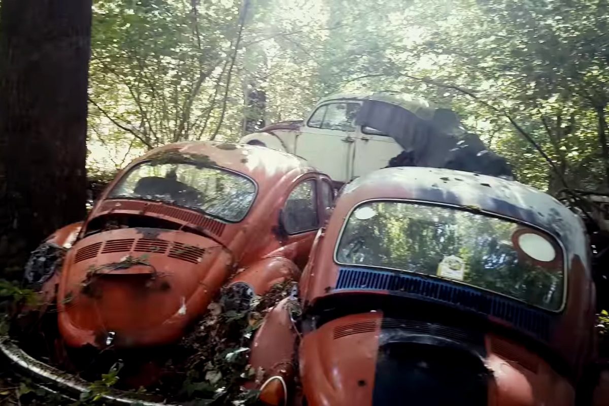 VOLKSWAGEN BOGÁR (KÄFER)