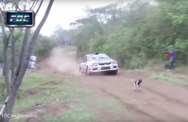 Rali eb: Rambo kutya és a repülő raliautó