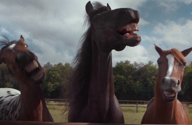 A Volkswagen elveszi a lovak szórakozását