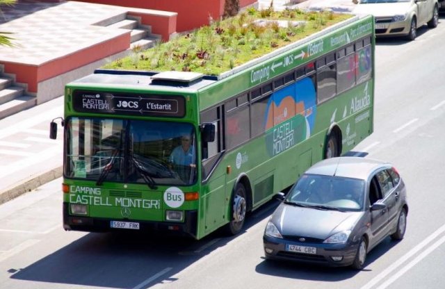 Kert nő a madridi buszok tetején
