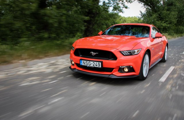 Valami Amerika - Mustang GT 5.0