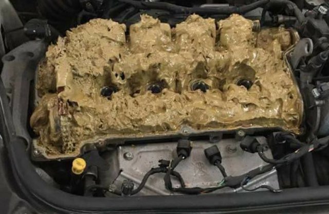 Ezt teszi 5 liter ablakmosó, ha a motorba öntik