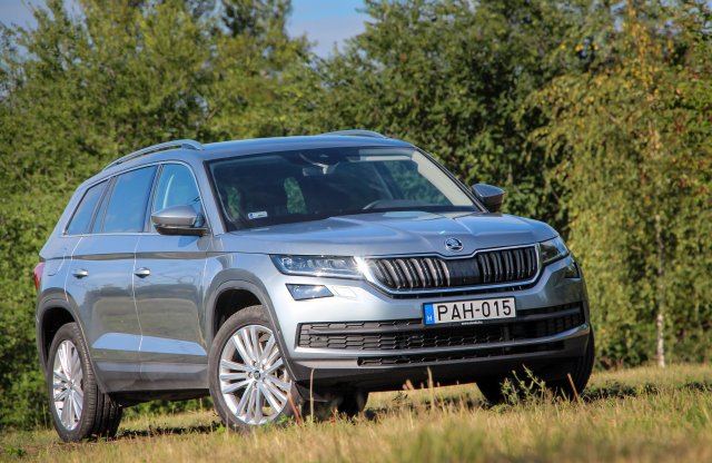 Bocs, a medvékre nem lehet haragudni!