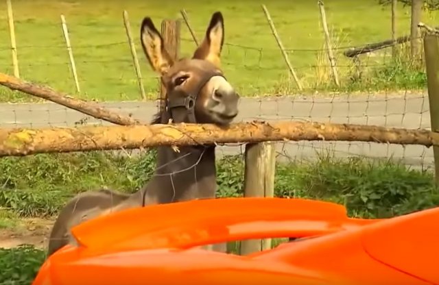 Répának nézte a McLarent