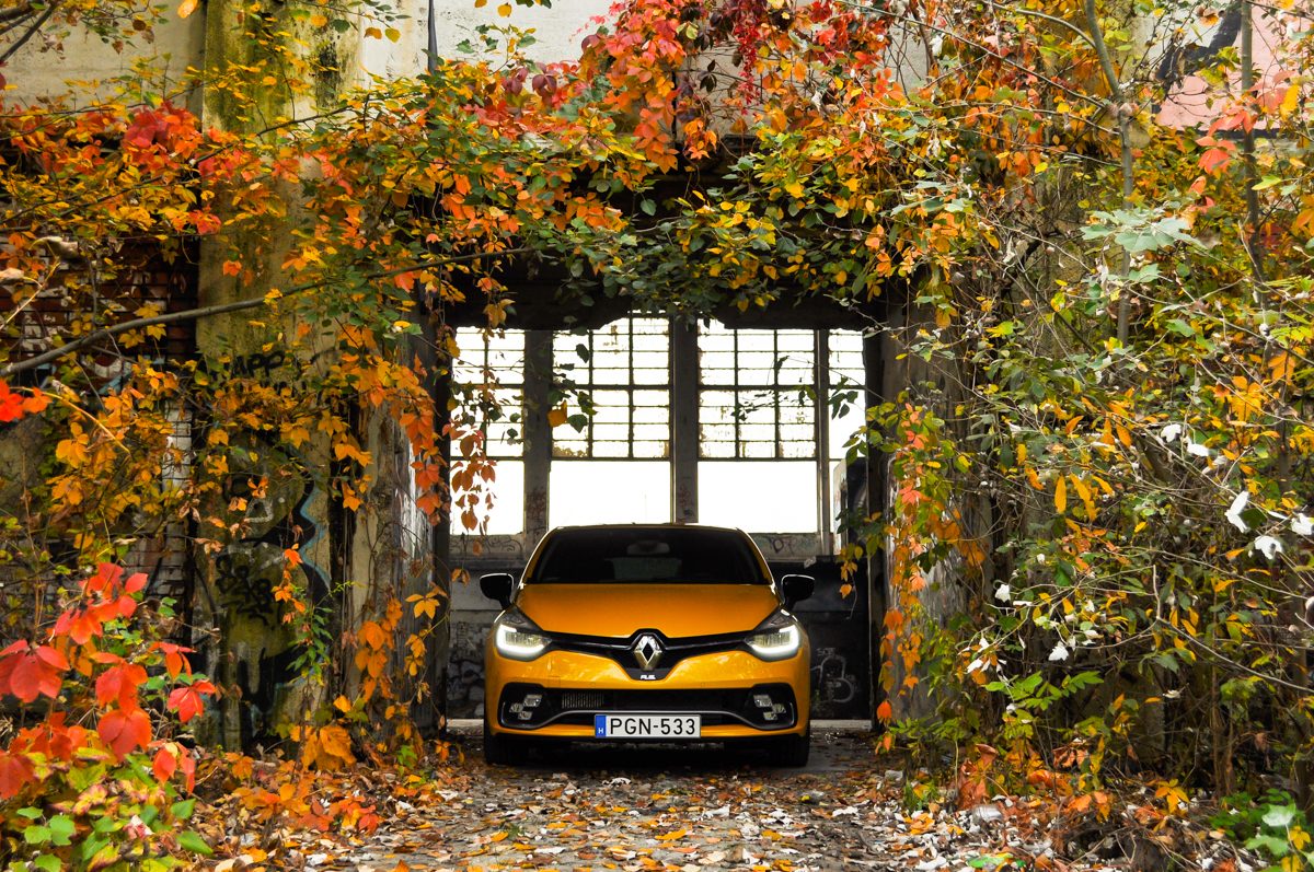 RENAULT CLIO