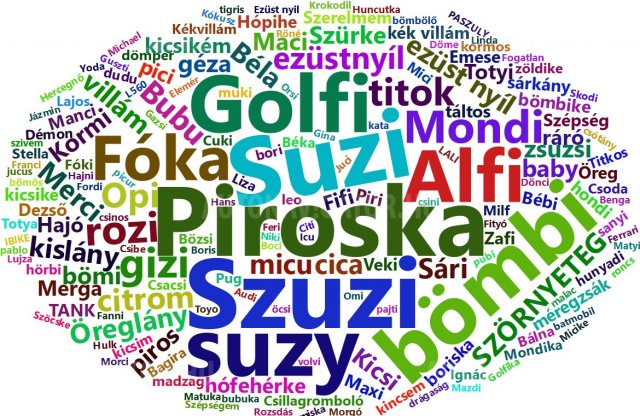 Mutatjuk, mi a legnépszerűbb hazai autónév