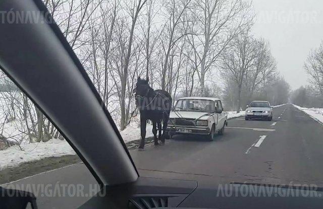 Ladát vontattak lóval, neked azonban nem ajánljuk!