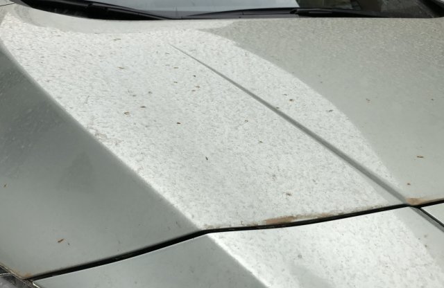 Eláruljuk, miért lett szokatlanul koszos a Te autód is!