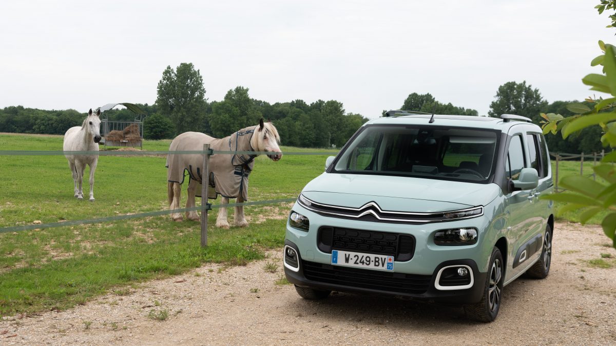 CITROEN BERLINGO