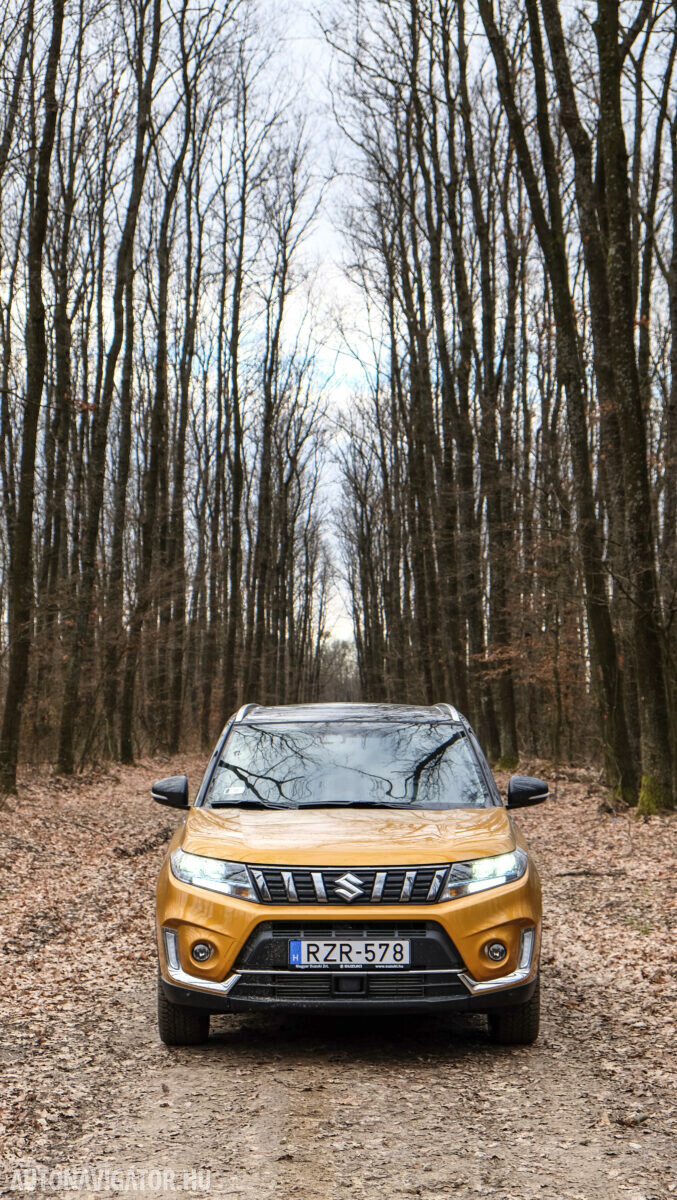 SUZUKI VITARA