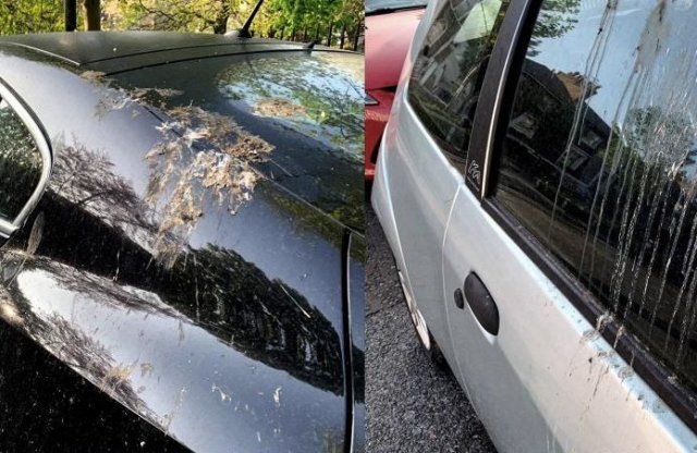 Mesterséges madárürülékkel tesztelik a Fordok fényezését