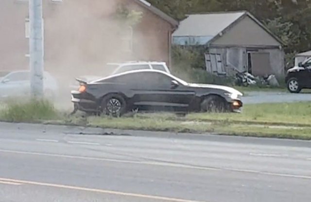 Ilyen, amikor szétszaladnak a lovak egy izomautóban!