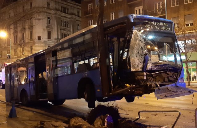 Rosszul lett a sofőr, fát döntött egy busz Budapesten