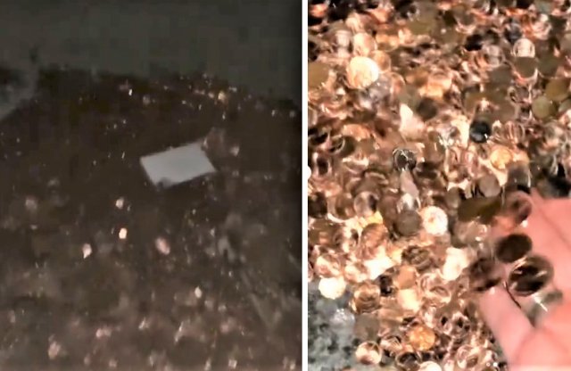 Olajos apróban kapta meg az ex-alkalmazott az utolsó fizetését