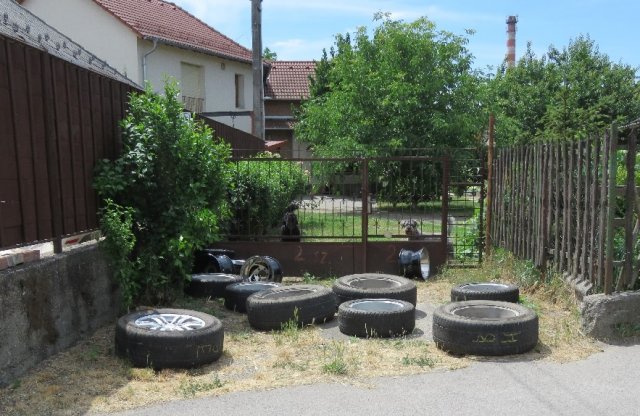 Nadrágszíjjal bilincselte meg a tulaj a felnitolvajt Dunakeszin