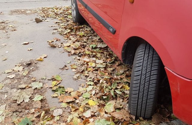 Erre nagyon figyelj az ősz beálltával!