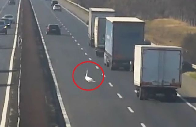 Engedély nélküli landolás az M1-es autópályán!