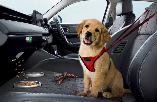 Kiskedvencekre szabott üléseket kínál a Honda