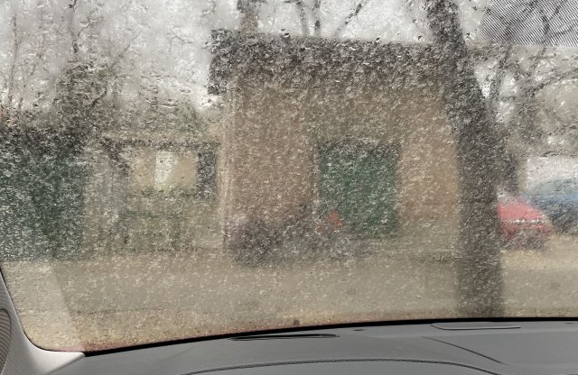 Várjunk a locsolással, húsvét előtt sem érdemes autót mosni