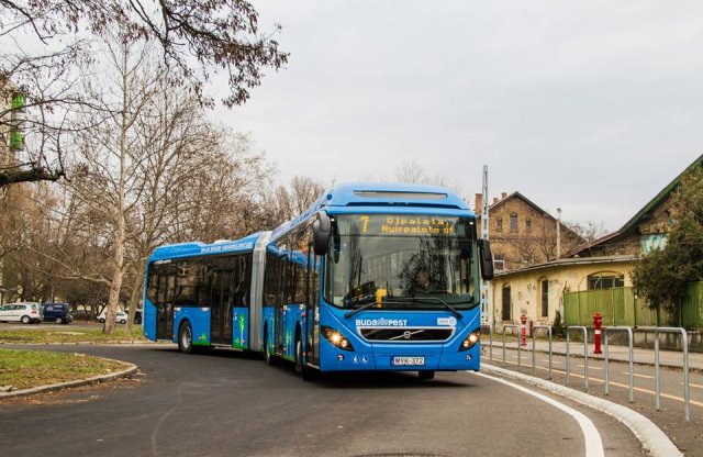 Egyszerűbb és olcsóbb lesz jogosítványt szerezni – autóbuszra