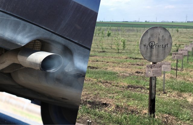 Fákat ültetni, mert szennyezel az autóddal? Nem vicc!