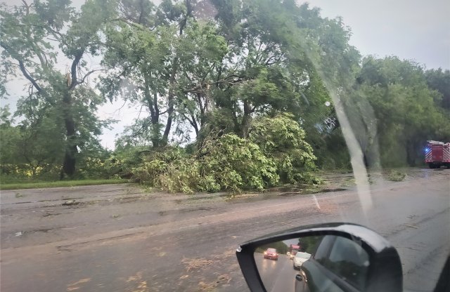 Fákat kitépő erejű széllökések nehezíthetik a hétvégi utazást