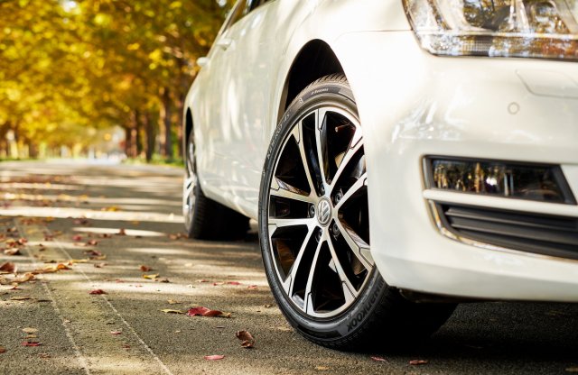 Vigyázat vadveszély! Őszi vezetési tippek