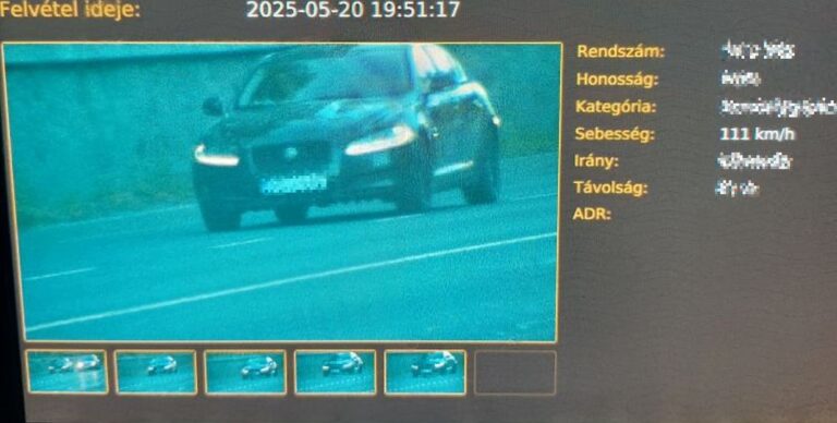 Nagymacskát fogott a rendőrség Salgótarjánban