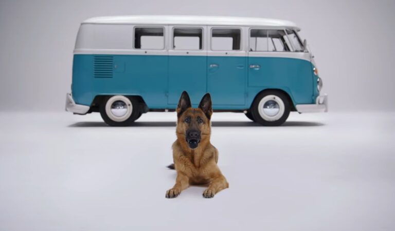 Ebből a Volkswagen alkatrészből biztosan sokat vásárolnak!