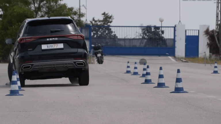 Érdekesen alakult az Ebro S800 jávorszarvastesztje