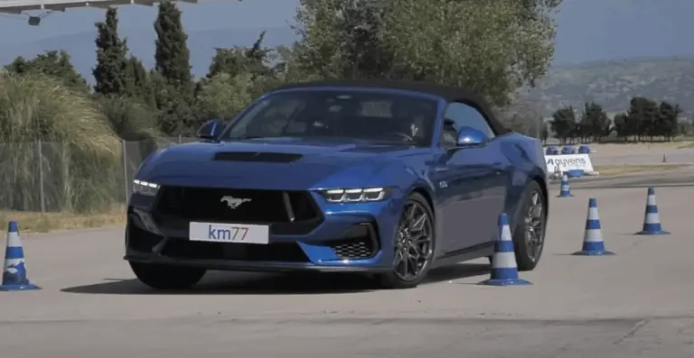 Vadló és jávorszarvas találkozása!