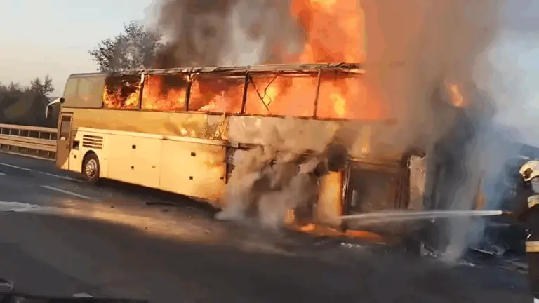 Videón az igazi hősök: így oltják a tűzoltók az M0-M7 csomópontnál lángoló buszt!