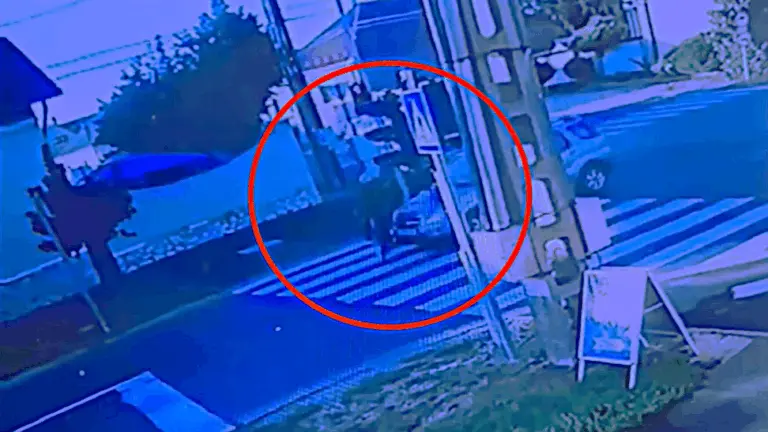 Zebrán gázolt a Suzukival az ártatlan sofőr: videón a szürreális baleset!