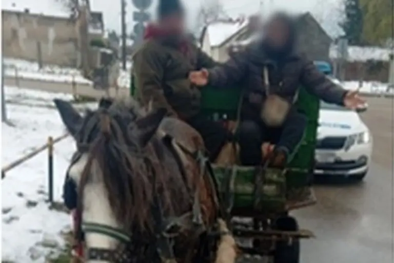 Ittasan hajtotta a lovaskocsit: szerinted megbírságolták?